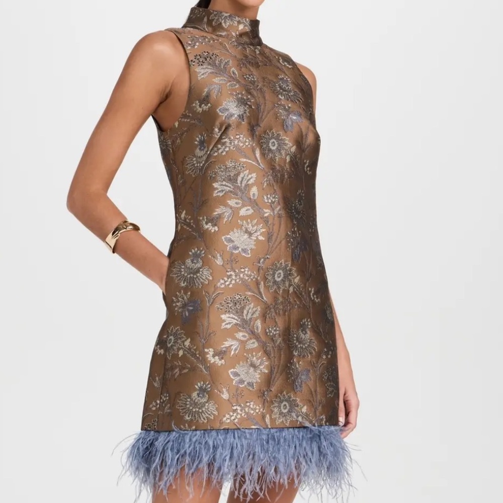 Cara Cara Tay Feathered Dress